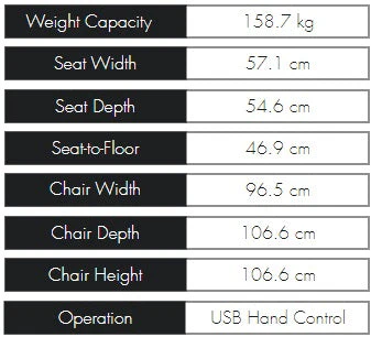 Theorem Studio Dual Motor Headrest & Lumbar Recliner - Image 8